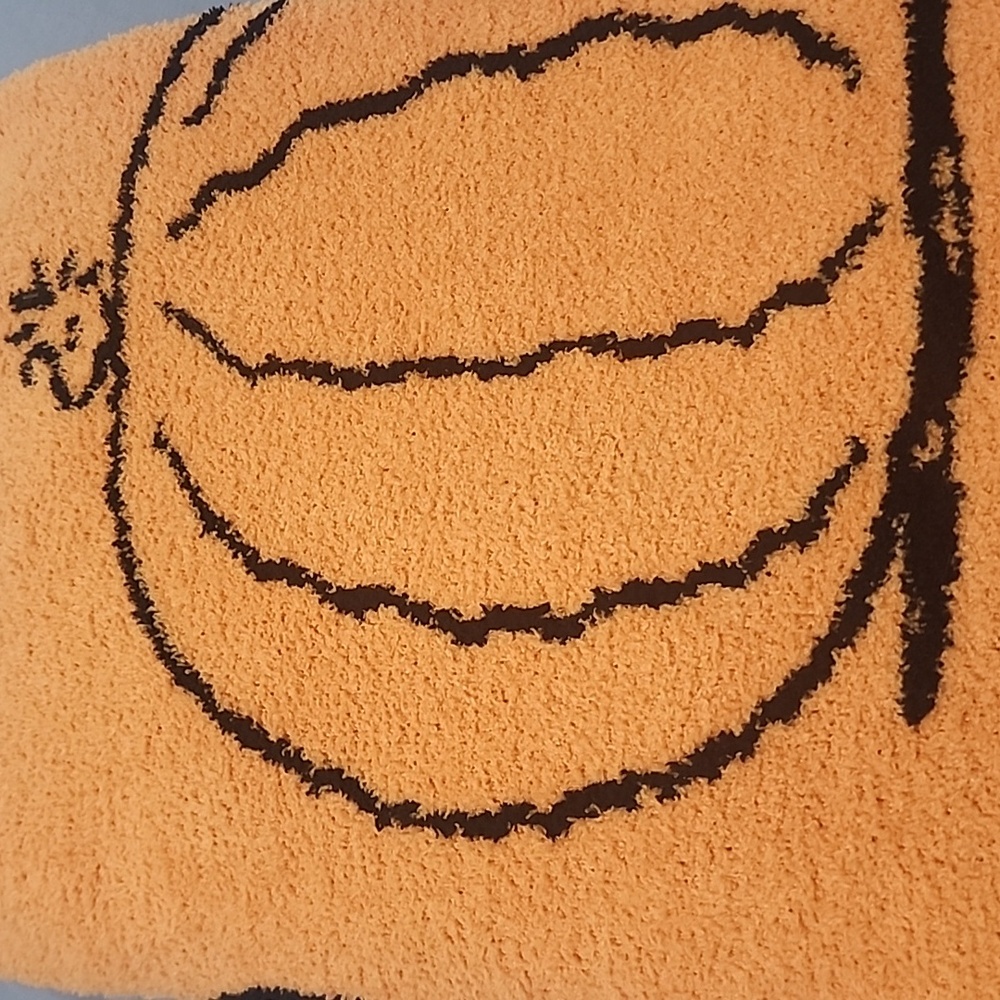 Snoopy Pumpkin Soft Plush Throw Blanket 50x70 NWT - Picture 4 of 6